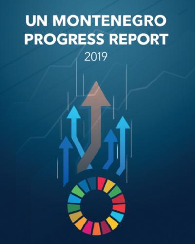 20200325_UN Progress Report
