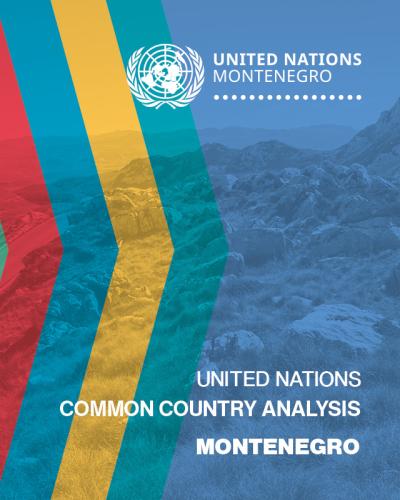 UN Common Country Analysis