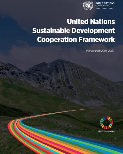 United Nations Sustainable Development Cooperation Framework