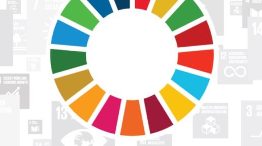 2016-UN-SDGs-Brochure