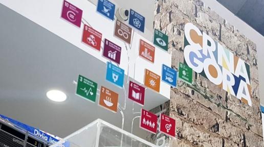 20170227-UN-SDGs-BG